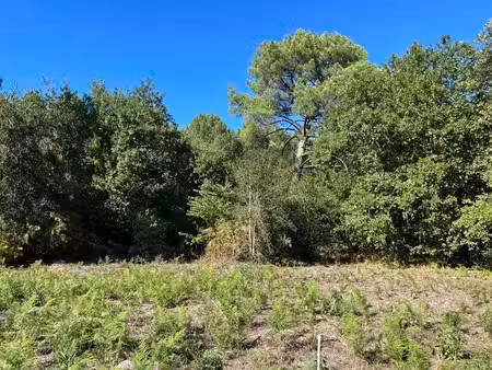 terrain à vendre
