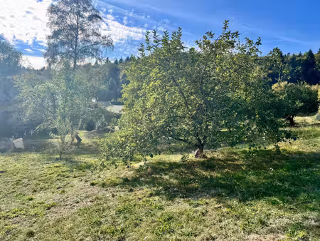un terrain exceptionnel au cœur de saint-nabord
