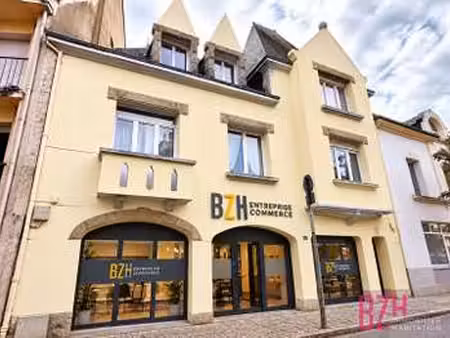 vente maison à auray (56400) : à vendre / 214m² auray