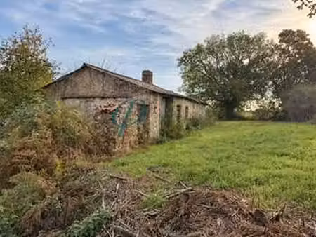 vente maison à drain (49530) : à vendre / 35m² drain