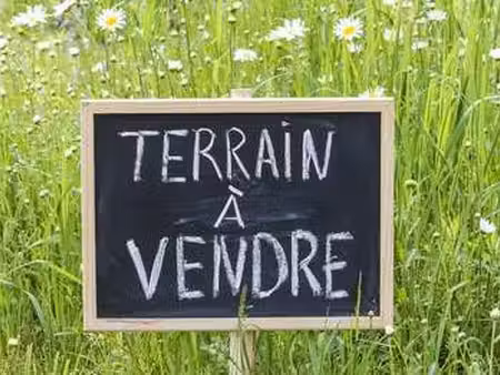 vente terrain à saint-étienne-de-mer-morte (44270) : à vendre / 6442m² saint-étienne-de-me