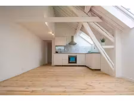 appartement de charme rénové – 1 chambre – peb b – à deux pa