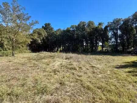 terrain 1 186 m² molleges