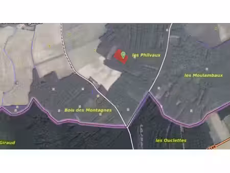 parcelles de bois à bouhy 11129 m2