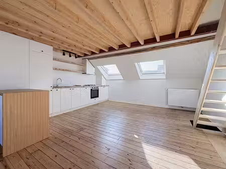appartement 2 chambres+bureau avec mezzanine et terrasse