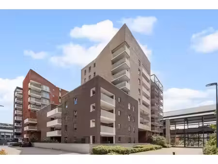 appartement lumineux avec terrasse ensoleillée à dok noord  à gand  à vendre