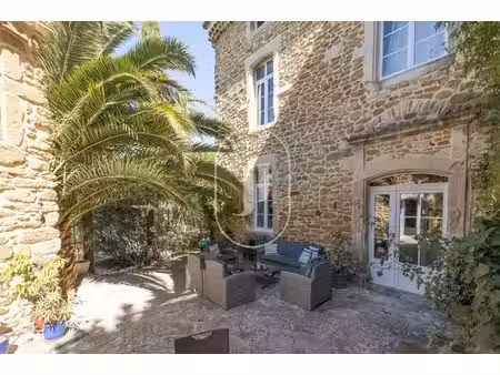 maison de luxe à vendre à sainte-cécile-les-vignes