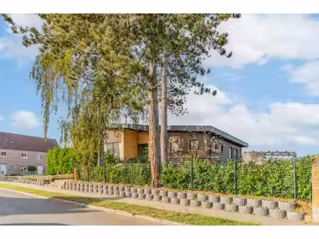 huis te koop in dessel met 4 slaapkamers
