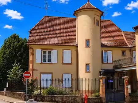 vente villa 12 pièces 500 m² à sainte-marie-aux-mines (68160)  290 000 €