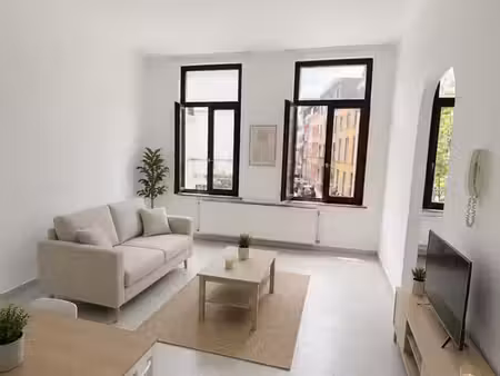 lumineux appart 1 chambre rénové - quartier eu