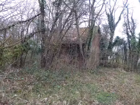terrain