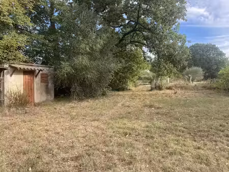 terrain 1500 m2 et petit cabanon