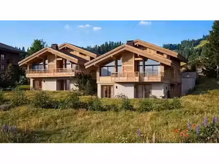 vente chalet 7 pièces 350 m² à chatel (74390)  2 250 000 €