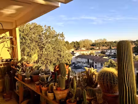 avignon : exclusivite