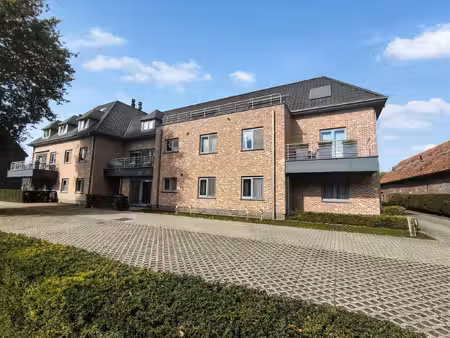 appartement te huur in beervelde