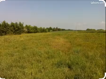 recherche achat/location/mise en valeur d’un terrain viabilisé ou non
