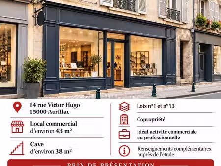 local commercial à vendre