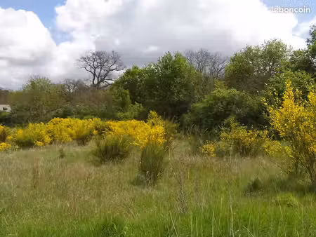 cherche un terrain agricole