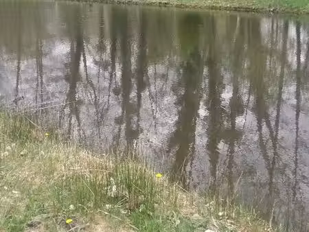 etang avec terrain