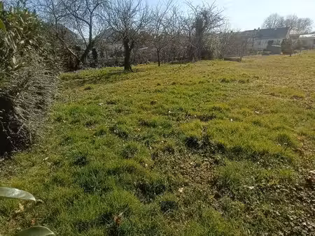 terrain constructible