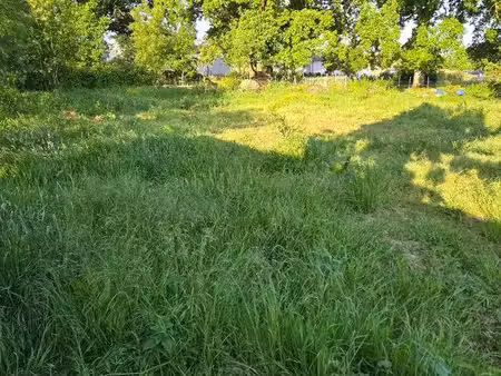 terrain constructible