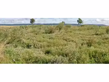 terrain à bâtir de 770 m² à conde-sur-marne (51)
