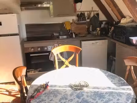charmant appartement t3 dans l'ancien en bordure de la maine