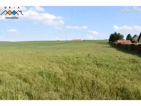 terrain 20 189 m² seicheprey