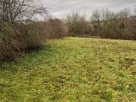 terrain constructible 3950 m2