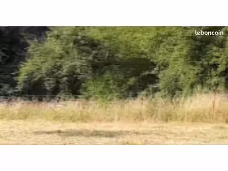terrain de loisir