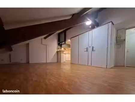 studio 34m2 sous combles - proche gare / centre / place des vosges