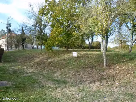 terrain constructible