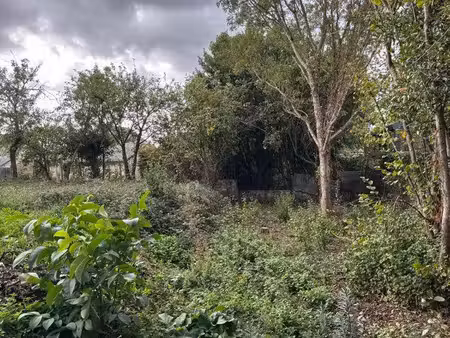 terrain viabilisé 579m2