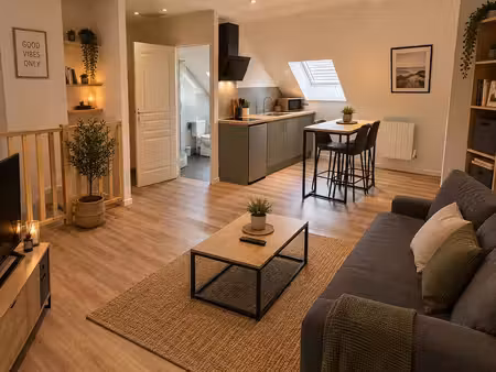 studio 1 pièce 40 m²