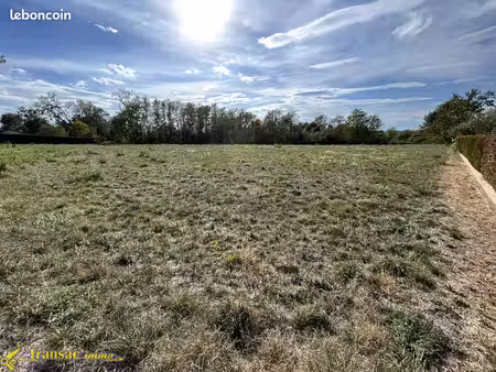 terrain 5000 m² ris