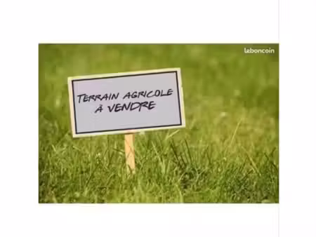 terrain agricole