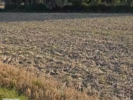 terrain constructible saint folquin 610 m2