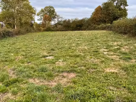 terrain constructible