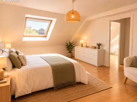 appartement hypercentre t4