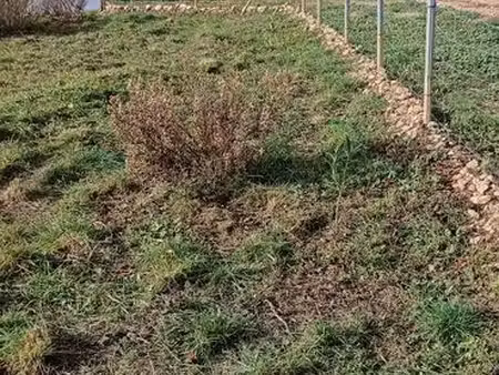 terrain de loisirs ou agricole