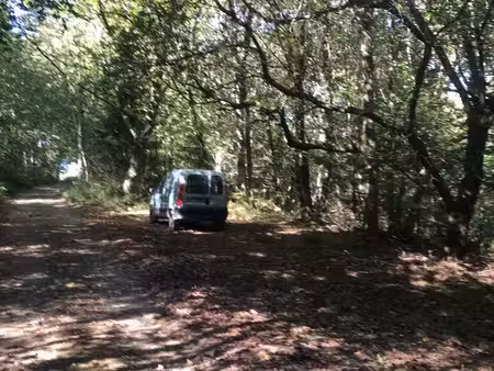 parcelle de bois