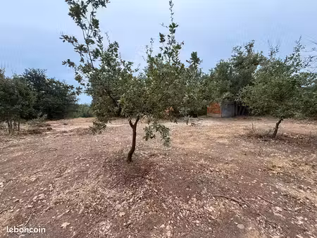 terrain agricole 7967 m2