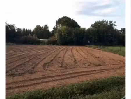 terrain de loisirs
