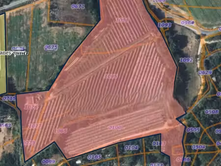 verger  bâtiment agricole et bois