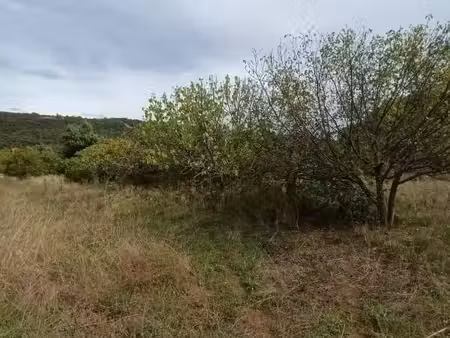 terrain 3 400 m² amelie les bains palalda