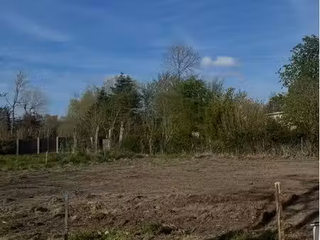 terrain constructible