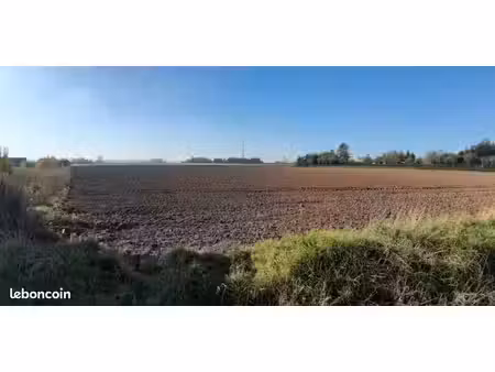 terrain 389 m² sains en gohelle