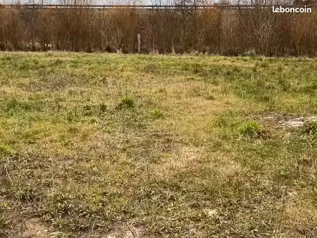 terrain 500 m² condette