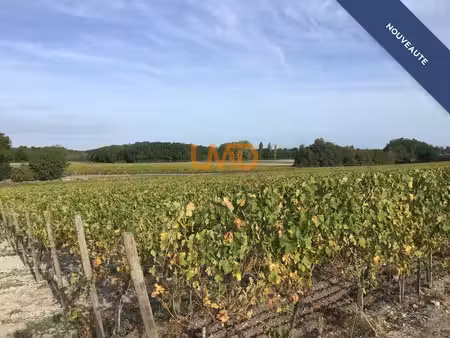 vignoble de 2 80 ha en petite champagne