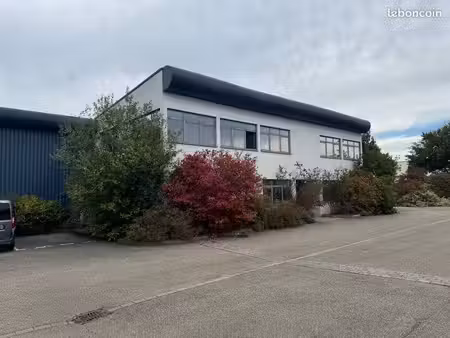 wittenheim hall 1400 m2 loué sur 41 ares